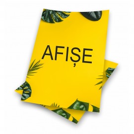 Afise