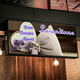 Autocolant PVC policromie